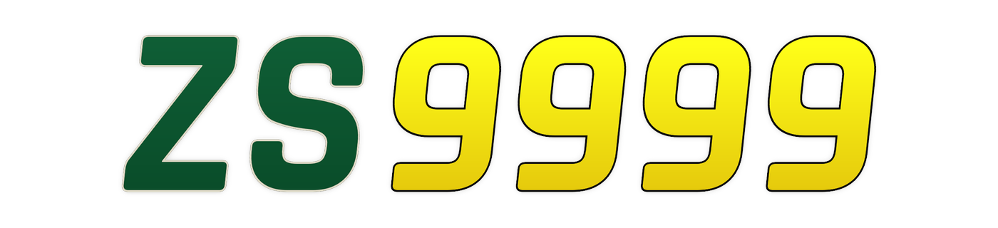 zs9999